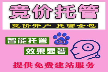 SEM推广优化策略：实战案例分析